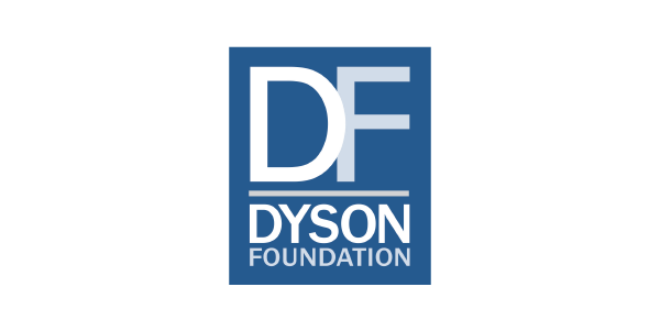 Dyson Foundation